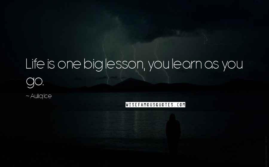 Auliq Ice Quotes: Life is one big lesson, you learn as you go.