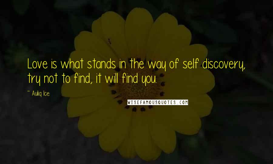 Auliq Ice Quotes: Love is what stands in the way of self discovery, try not to find, it will find you.