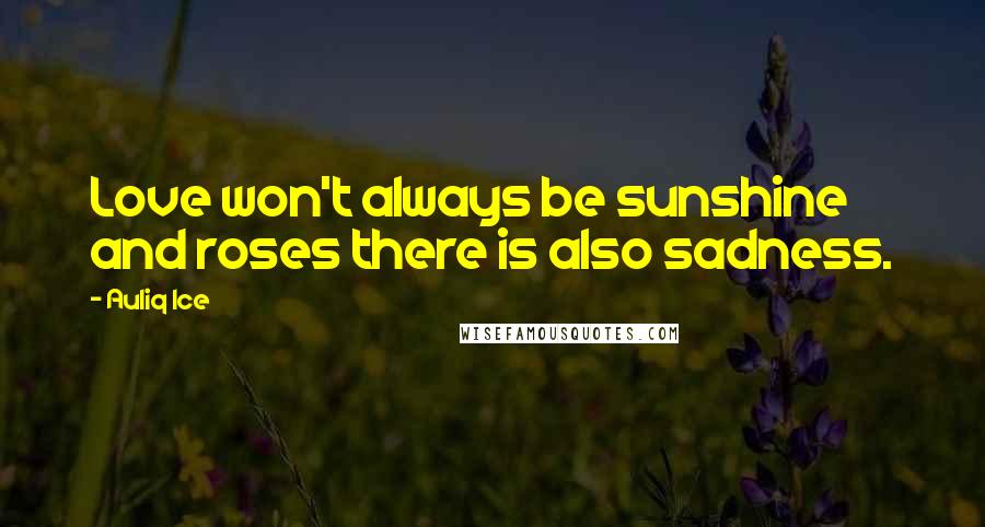 Auliq Ice Quotes: Love won't always be sunshine and roses there is also sadness.