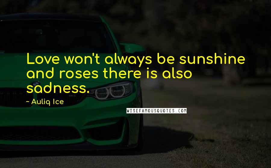 Auliq Ice Quotes: Love won't always be sunshine and roses there is also sadness.