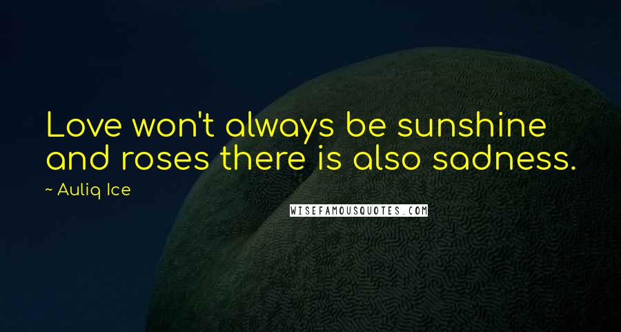 Auliq Ice Quotes: Love won't always be sunshine and roses there is also sadness.