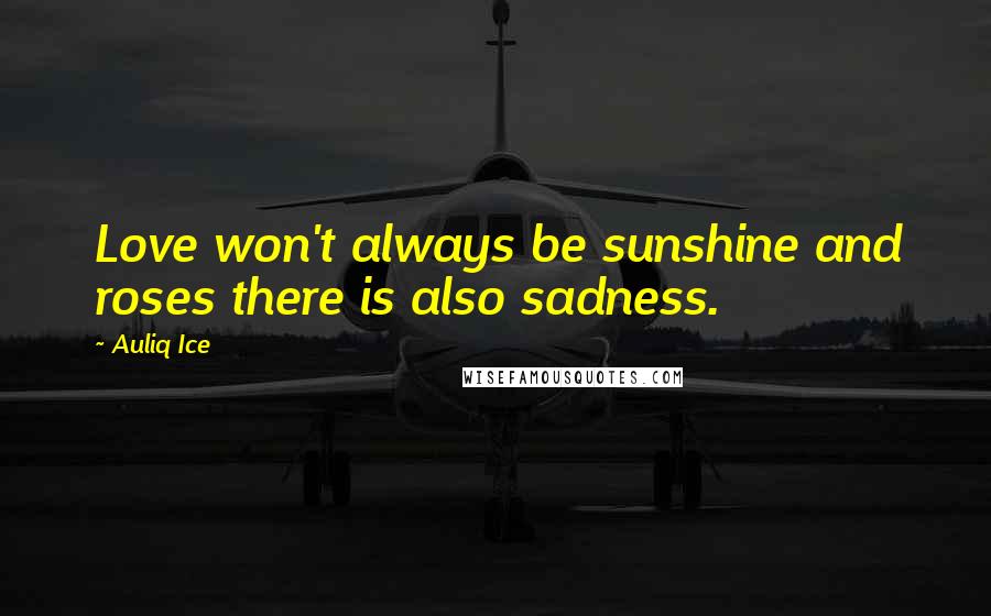 Auliq Ice Quotes: Love won't always be sunshine and roses there is also sadness.