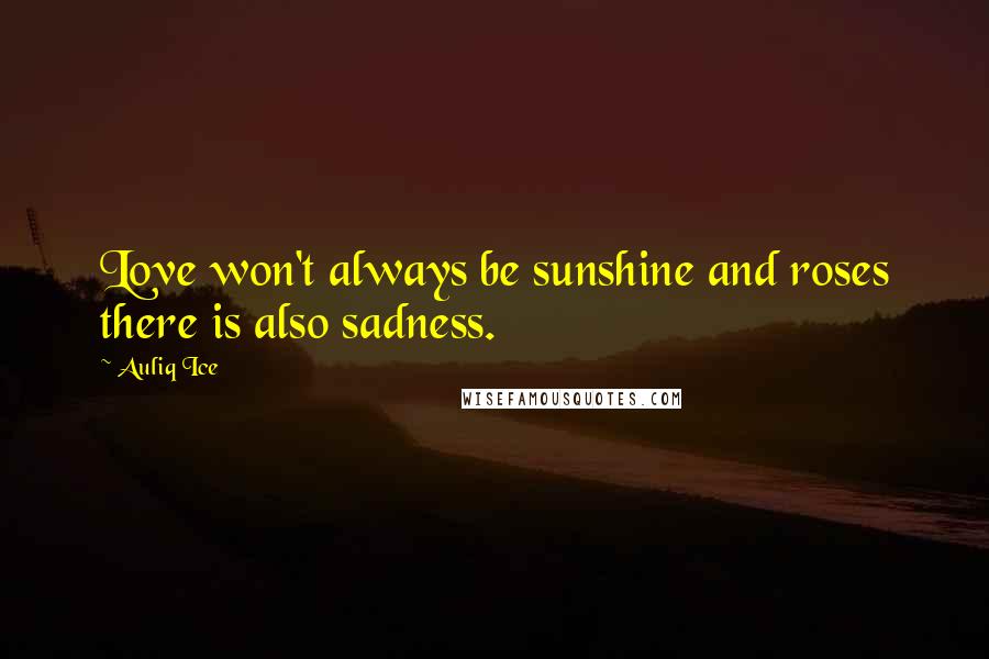 Auliq Ice Quotes: Love won't always be sunshine and roses there is also sadness.