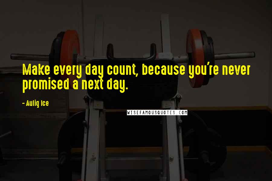 Auliq Ice Quotes: Make every day count, because you're never promised a next day.