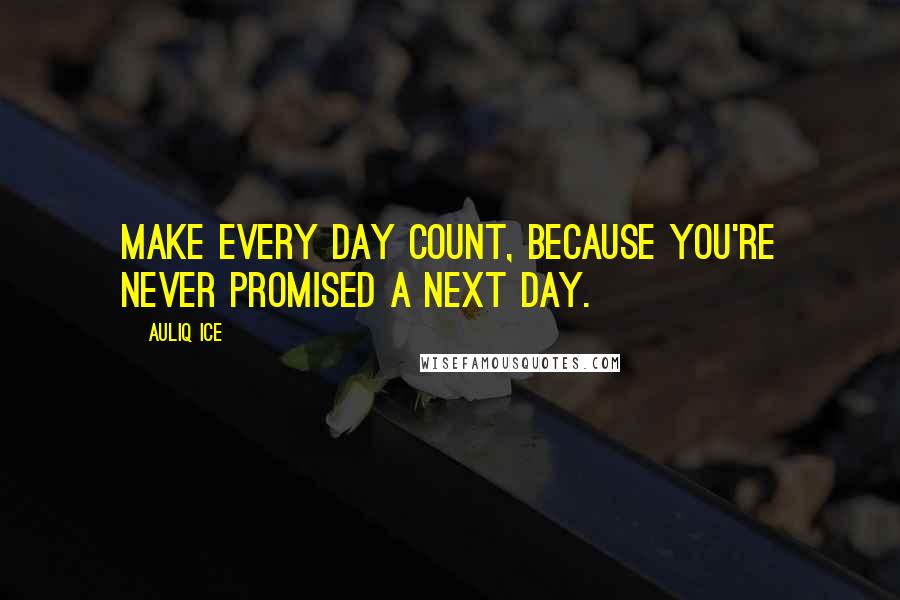 Auliq Ice Quotes: Make every day count, because you're never promised a next day.