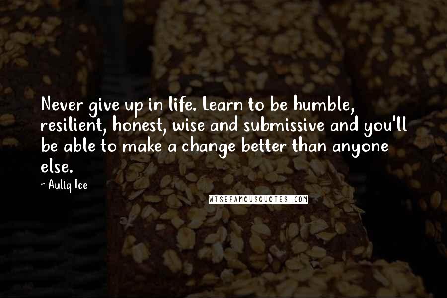 Auliq Ice Quotes: Never give up in life. Learn to be humble, resilient, honest, wise and submissive and you'll be able to make a change better than anyone else.