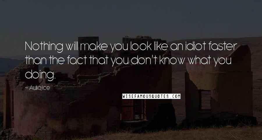 Auliq Ice Quotes: Nothing will make you look like an idiot faster than the fact that you don't know what you doing.