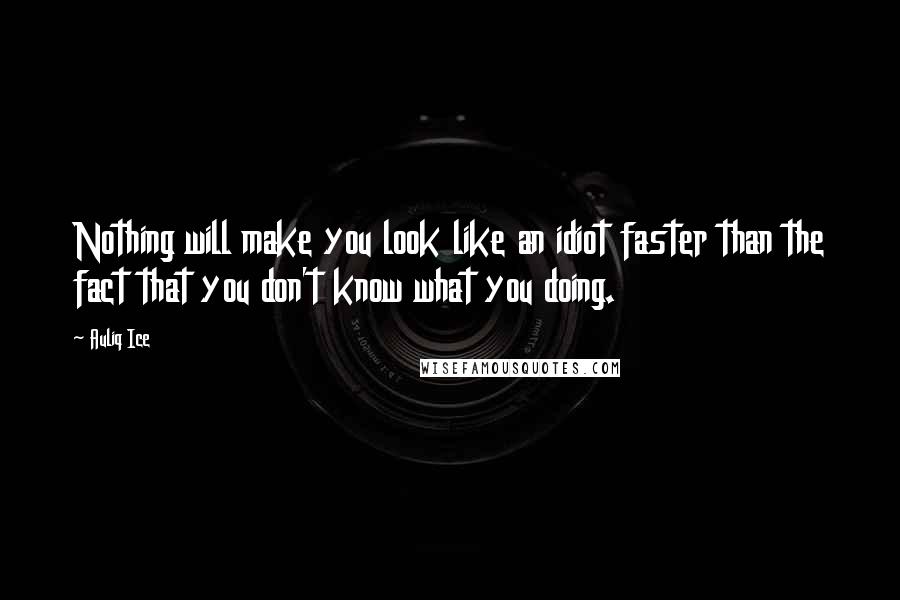 Auliq Ice Quotes: Nothing will make you look like an idiot faster than the fact that you don't know what you doing.