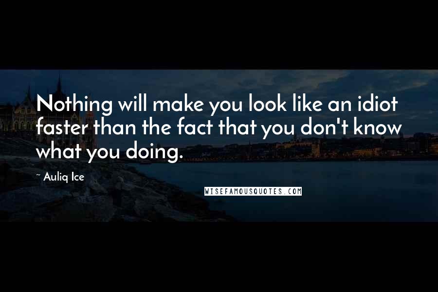 Auliq Ice Quotes: Nothing will make you look like an idiot faster than the fact that you don't know what you doing.