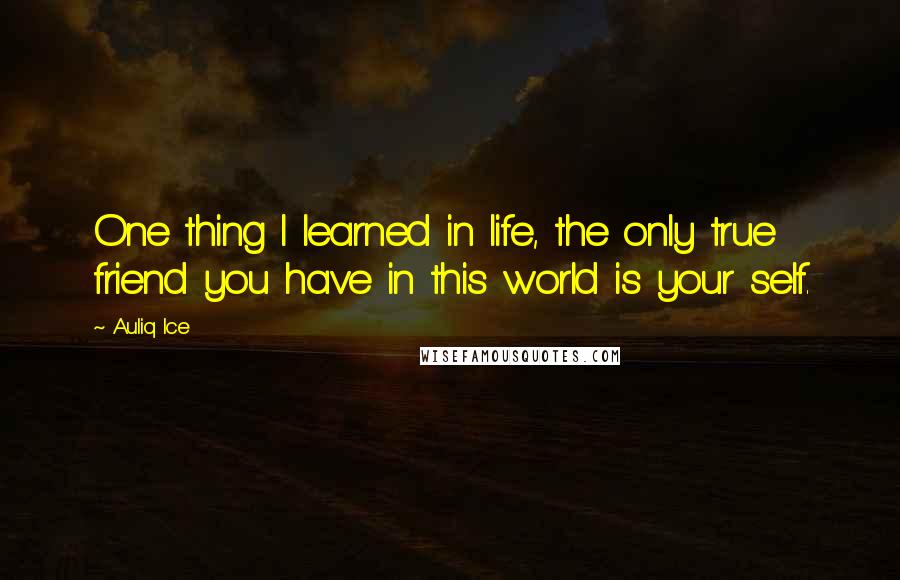 Auliq Ice Quotes: One thing I learned in life, the only true friend you have in this world is your self.