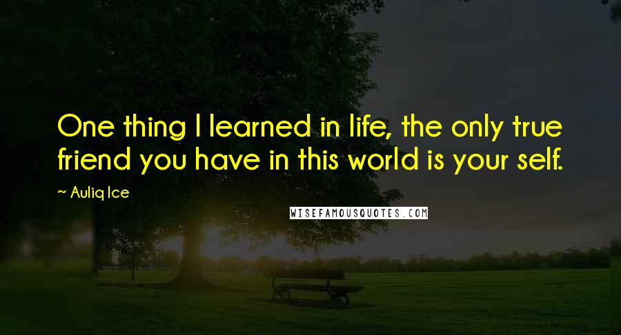 Auliq Ice Quotes: One thing I learned in life, the only true friend you have in this world is your self.