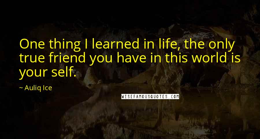Auliq Ice Quotes: One thing I learned in life, the only true friend you have in this world is your self.