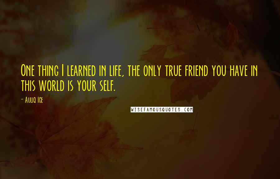 Auliq Ice Quotes: One thing I learned in life, the only true friend you have in this world is your self.