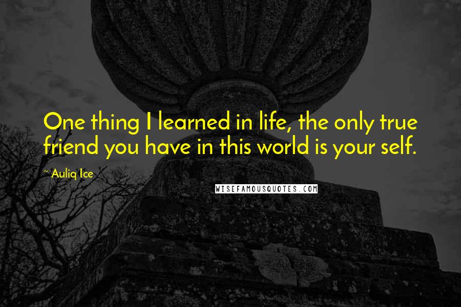 Auliq Ice Quotes: One thing I learned in life, the only true friend you have in this world is your self.