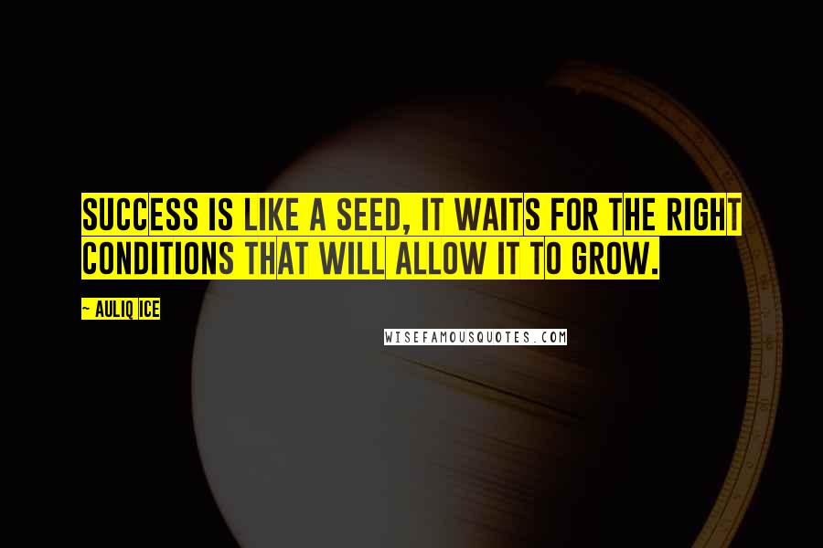 Auliq Ice Quotes: Success is like a seed, it waits for the right conditions that will allow it to grow.
