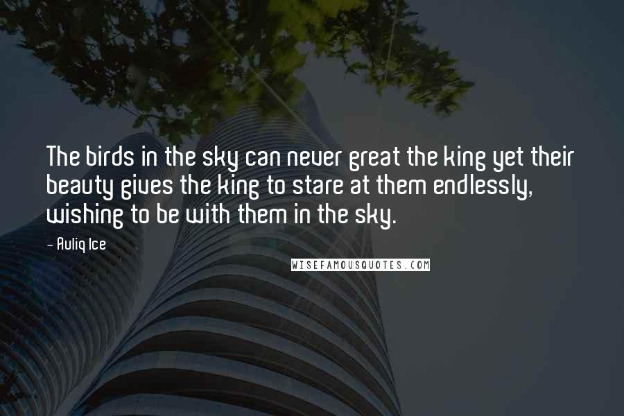 Auliq Ice Quotes: The birds in the sky can never great the king yet their beauty gives the king to stare at them endlessly, wishing to be with them in the sky.