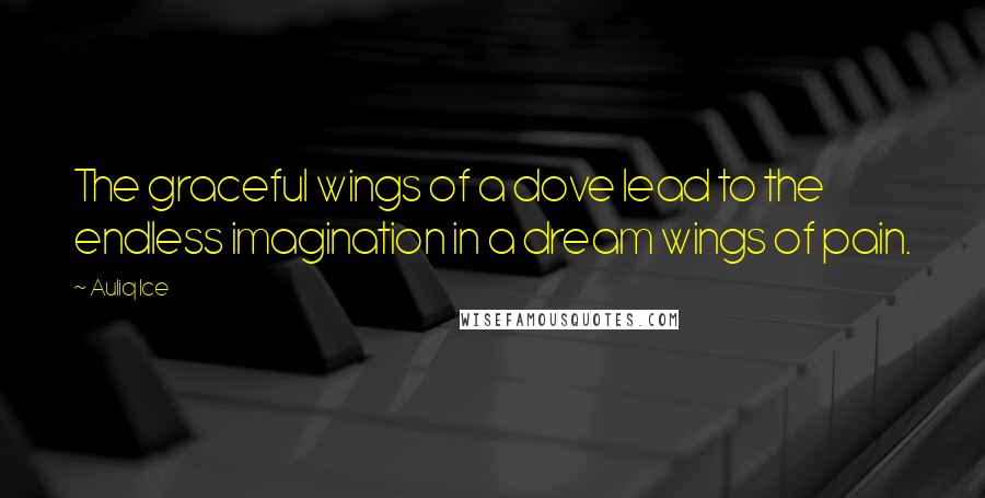 Auliq Ice Quotes: The graceful wings of a dove lead to the endless imagination in a dream wings of pain.