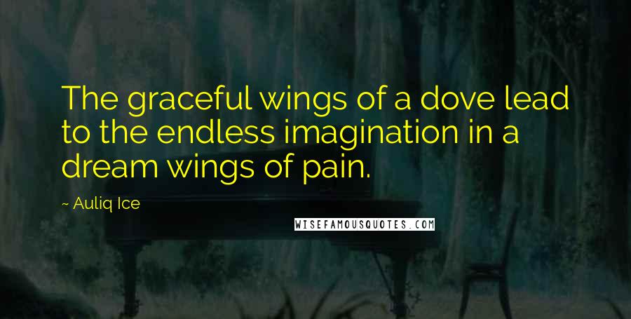 Auliq Ice Quotes: The graceful wings of a dove lead to the endless imagination in a dream wings of pain.