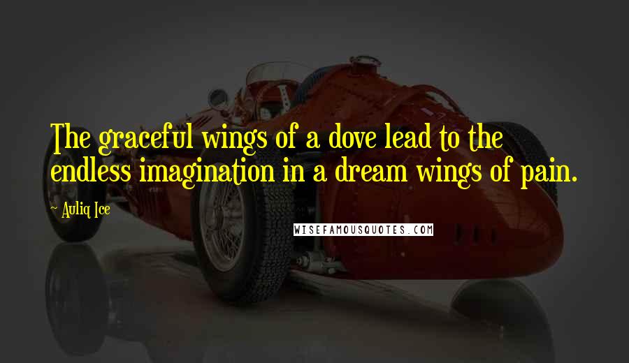 Auliq Ice Quotes: The graceful wings of a dove lead to the endless imagination in a dream wings of pain.