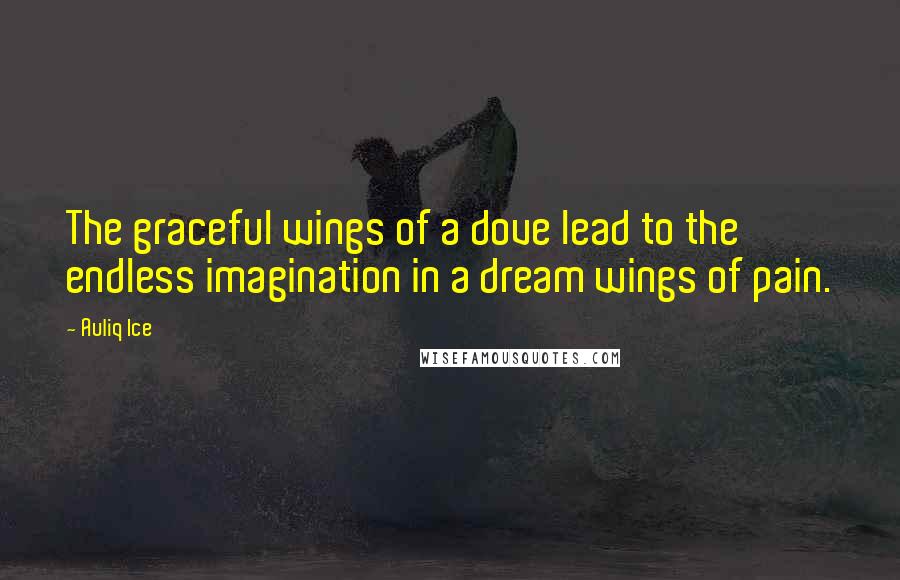 Auliq Ice Quotes: The graceful wings of a dove lead to the endless imagination in a dream wings of pain.