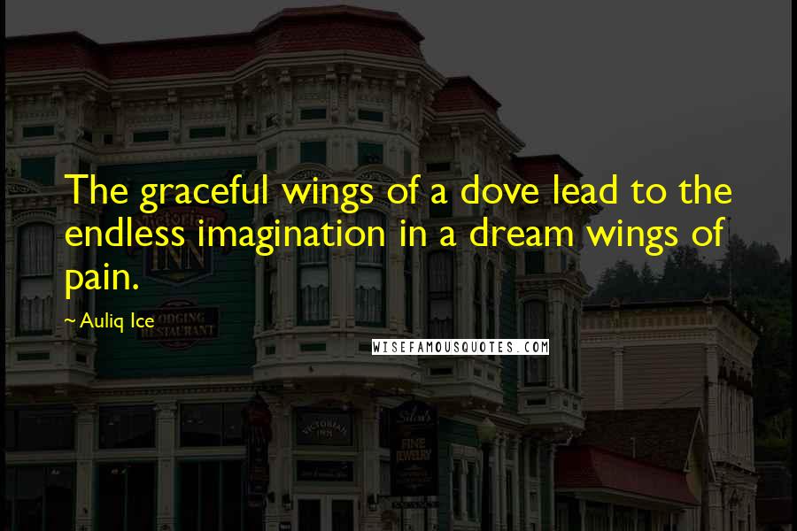 Auliq Ice Quotes: The graceful wings of a dove lead to the endless imagination in a dream wings of pain.