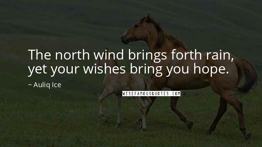 Auliq Ice Quotes: The north wind brings forth rain, yet your wishes bring you hope.