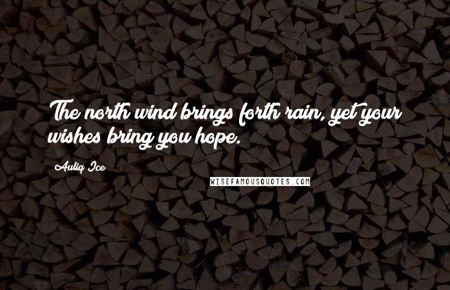 Auliq Ice Quotes: The north wind brings forth rain, yet your wishes bring you hope.