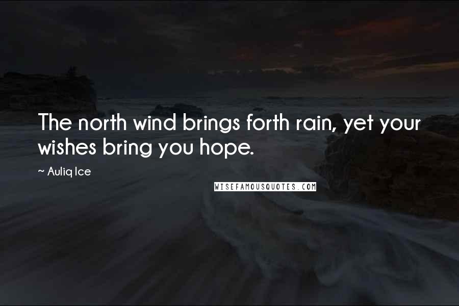 Auliq Ice Quotes: The north wind brings forth rain, yet your wishes bring you hope.