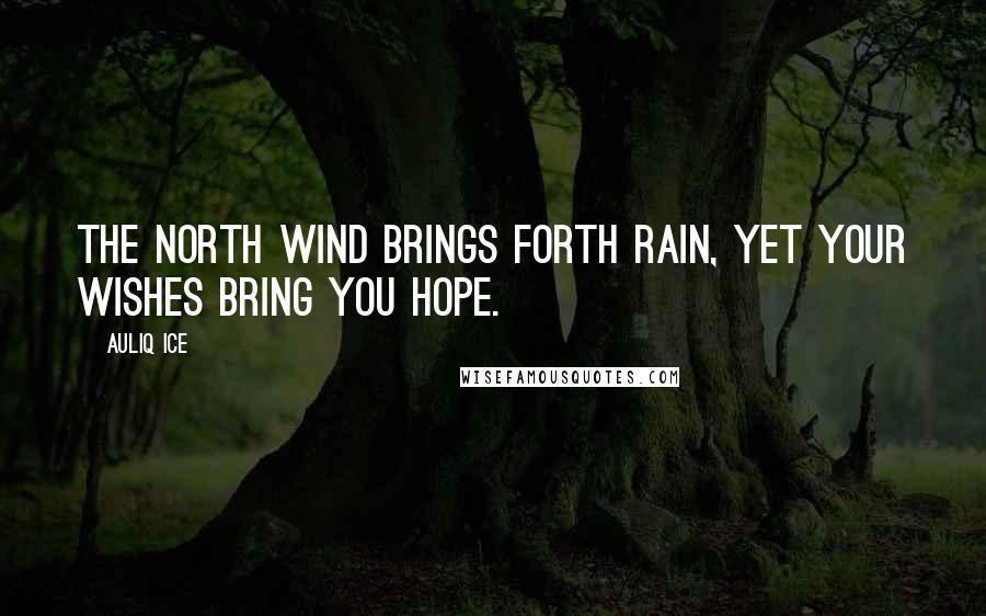 Auliq Ice Quotes: The north wind brings forth rain, yet your wishes bring you hope.