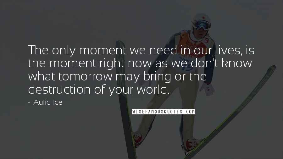 Auliq Ice Quotes: The only moment we need in our lives, is the moment right now as we don't know what tomorrow may bring or the destruction of your world.