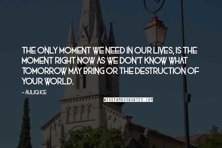 Auliq Ice Quotes: The only moment we need in our lives, is the moment right now as we don't know what tomorrow may bring or the destruction of your world.