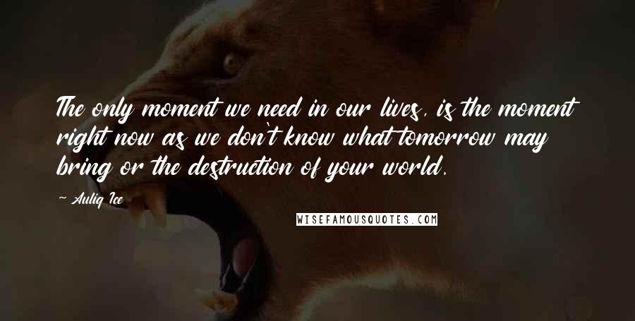 Auliq Ice Quotes: The only moment we need in our lives, is the moment right now as we don't know what tomorrow may bring or the destruction of your world.