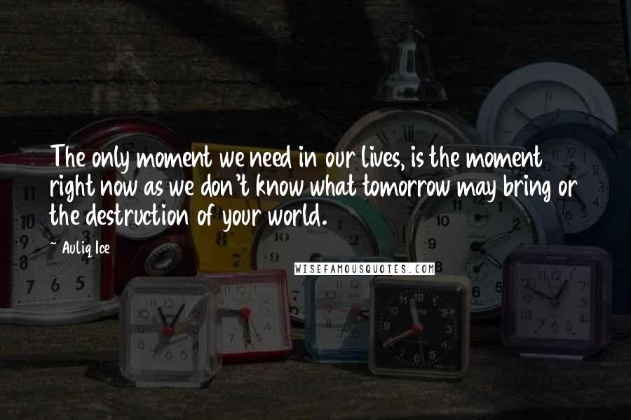 Auliq Ice Quotes: The only moment we need in our lives, is the moment right now as we don't know what tomorrow may bring or the destruction of your world.