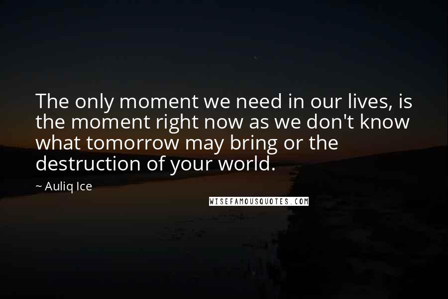 Auliq Ice Quotes: The only moment we need in our lives, is the moment right now as we don't know what tomorrow may bring or the destruction of your world.