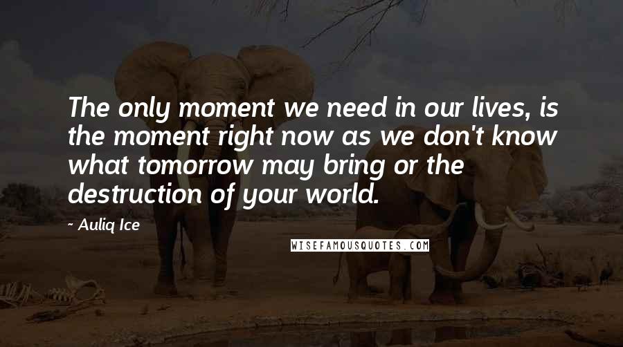 Auliq Ice Quotes: The only moment we need in our lives, is the moment right now as we don't know what tomorrow may bring or the destruction of your world.