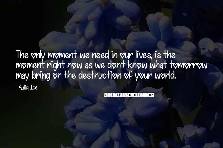 Auliq Ice Quotes: The only moment we need in our lives, is the moment right now as we don't know what tomorrow may bring or the destruction of your world.