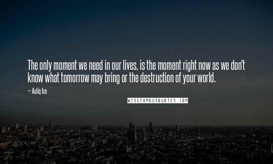 Auliq Ice Quotes: The only moment we need in our lives, is the moment right now as we don't know what tomorrow may bring or the destruction of your world.