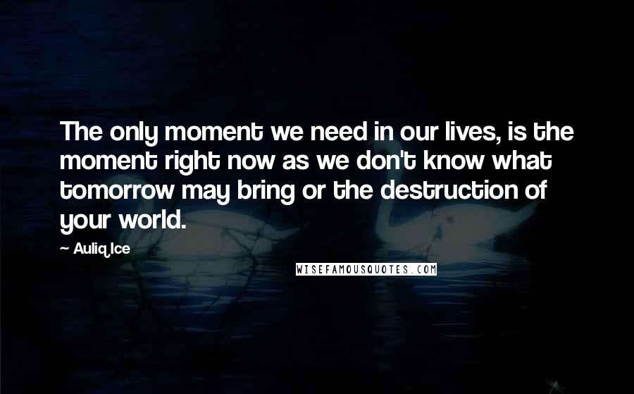 Auliq Ice Quotes: The only moment we need in our lives, is the moment right now as we don't know what tomorrow may bring or the destruction of your world.