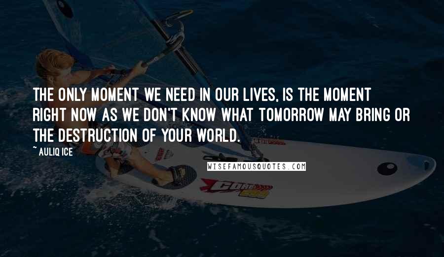 Auliq Ice Quotes: The only moment we need in our lives, is the moment right now as we don't know what tomorrow may bring or the destruction of your world.