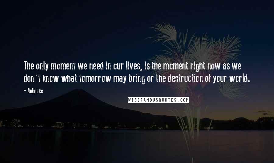 Auliq Ice Quotes: The only moment we need in our lives, is the moment right now as we don't know what tomorrow may bring or the destruction of your world.