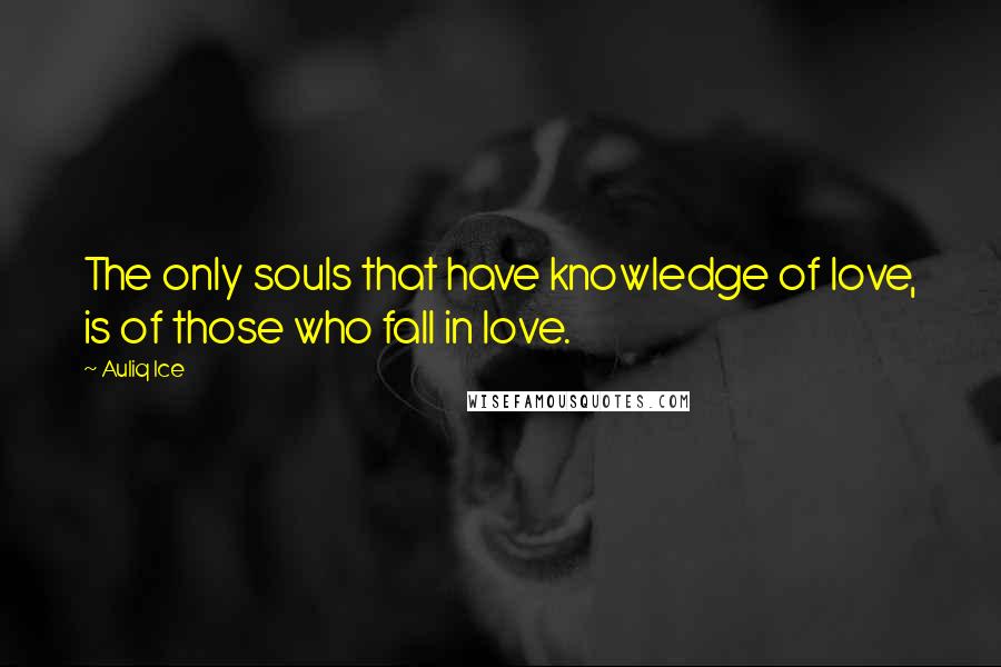 Auliq Ice Quotes: The only souls that have knowledge of love, is of those who fall in love.