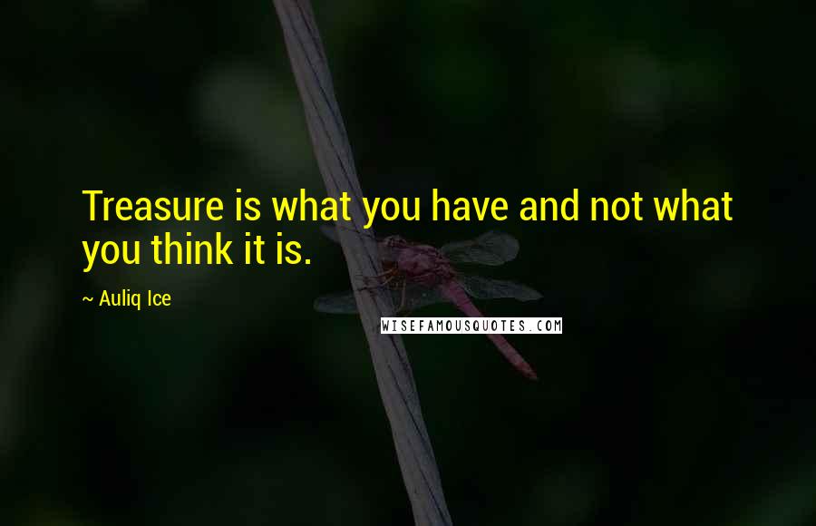 Auliq Ice Quotes: Treasure is what you have and not what you think it is.