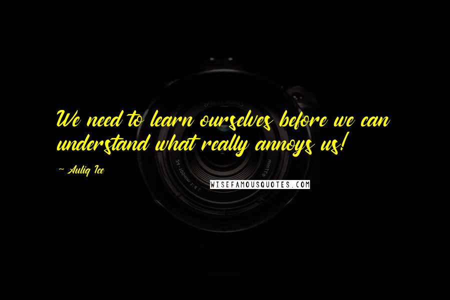 Auliq Ice Quotes: We need to learn ourselves before we can understand what really annoys us!