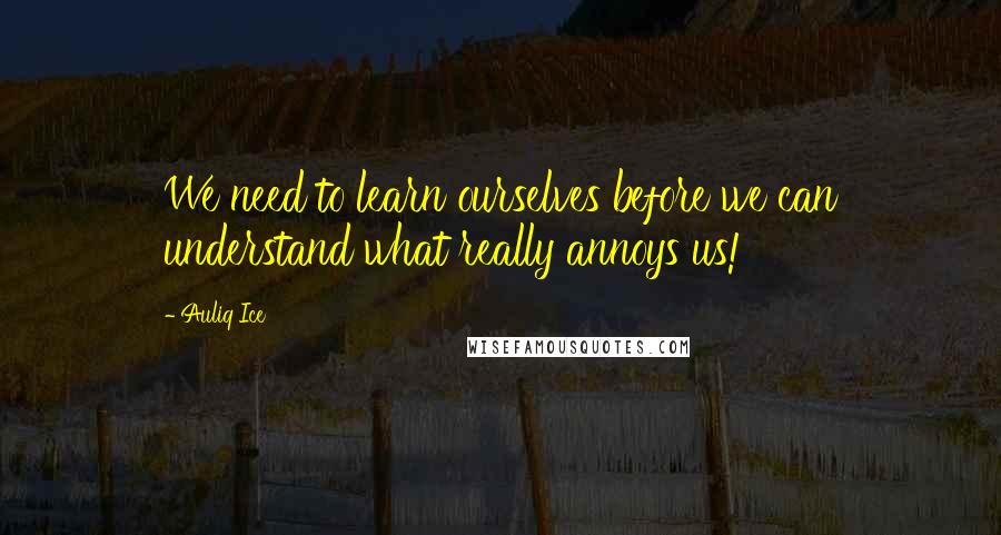 Auliq Ice Quotes: We need to learn ourselves before we can understand what really annoys us!