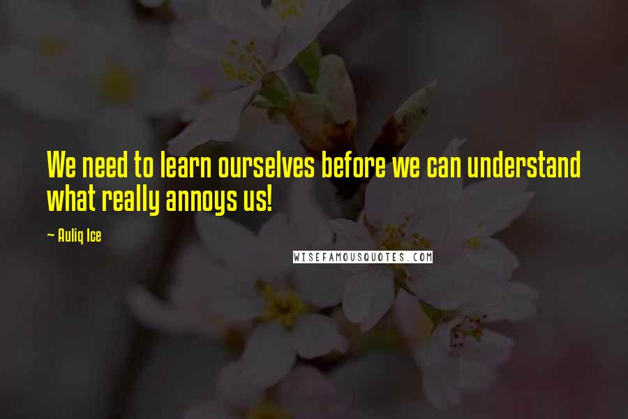 Auliq Ice Quotes: We need to learn ourselves before we can understand what really annoys us!