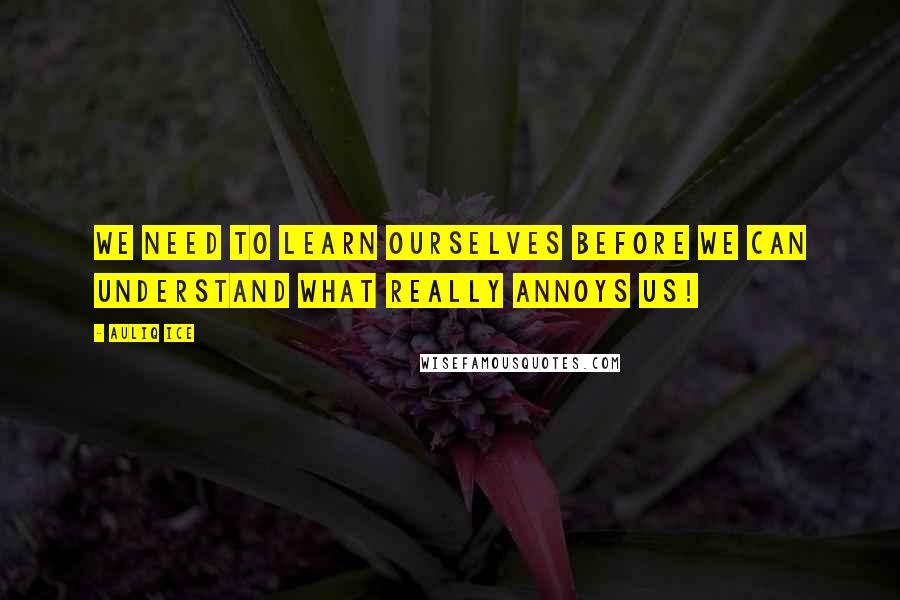 Auliq Ice Quotes: We need to learn ourselves before we can understand what really annoys us!