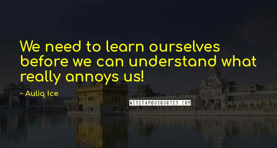 Auliq Ice Quotes: We need to learn ourselves before we can understand what really annoys us!