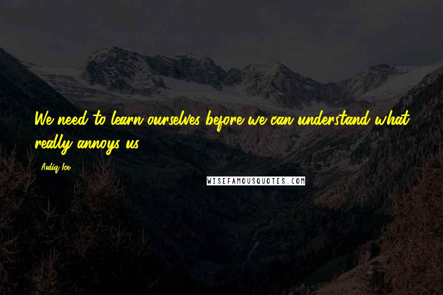 Auliq Ice Quotes: We need to learn ourselves before we can understand what really annoys us!