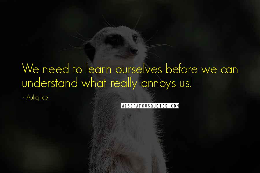 Auliq Ice Quotes: We need to learn ourselves before we can understand what really annoys us!