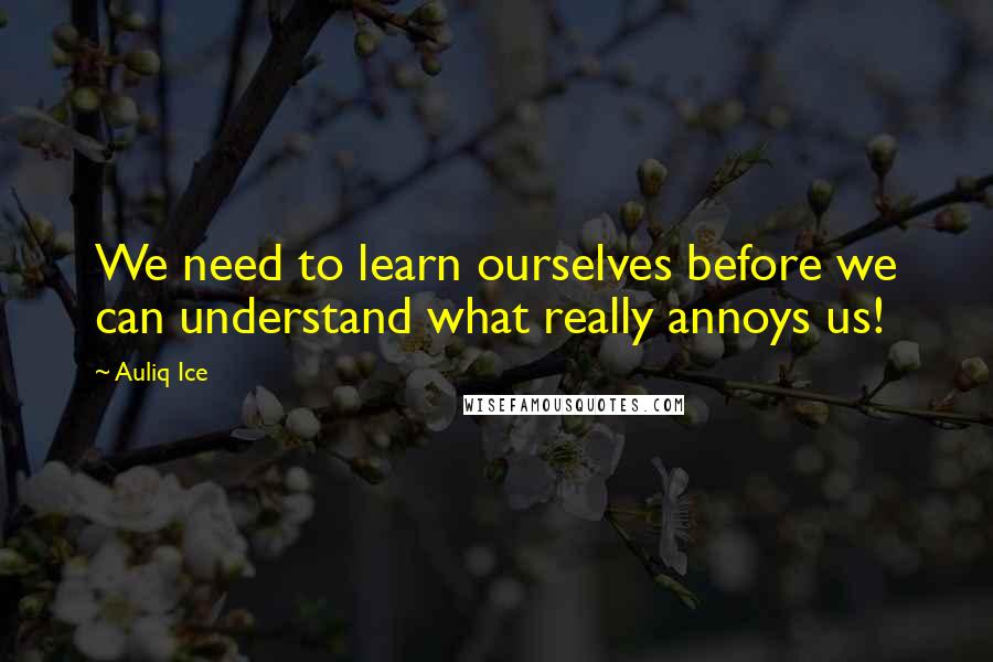 Auliq Ice Quotes: We need to learn ourselves before we can understand what really annoys us!